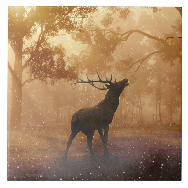 Carreau Beau paysage de nature de Hirsch (Devant)