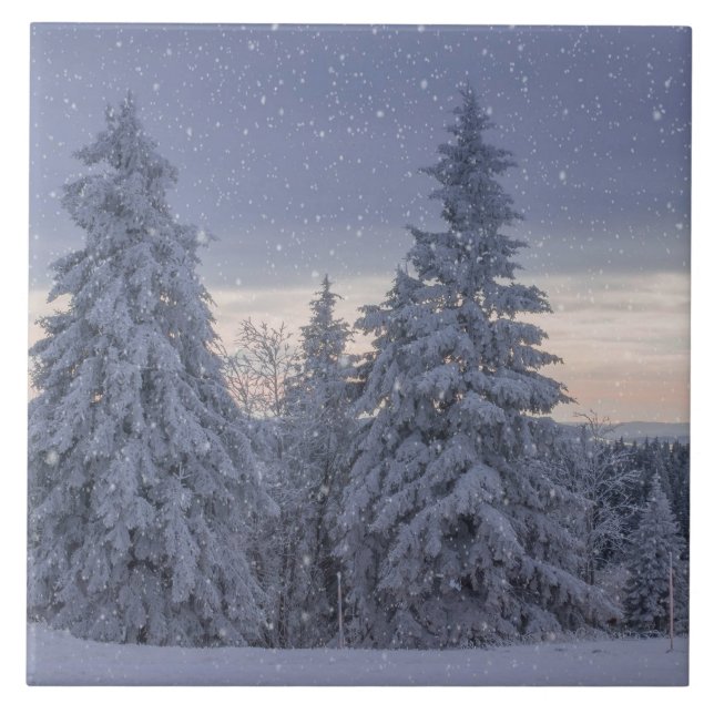 Carreau Beau paysage hivernal comme il neige (Devant)