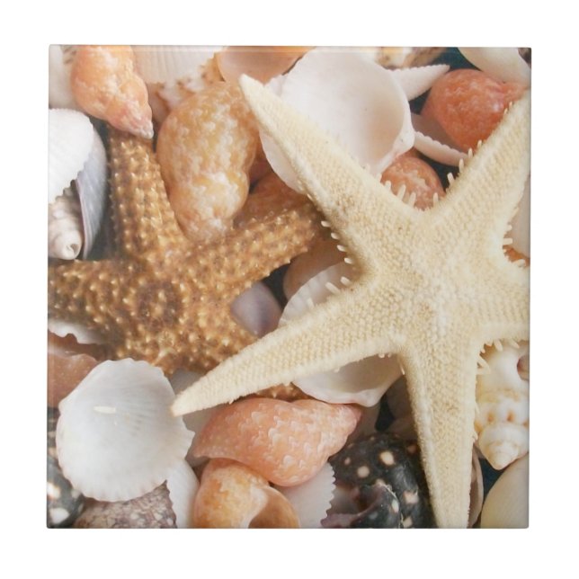 Carreau Beaucoup de coquillages (Devant)