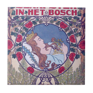 Carreau Beauté dormante, Art de couverture, Van Caspel