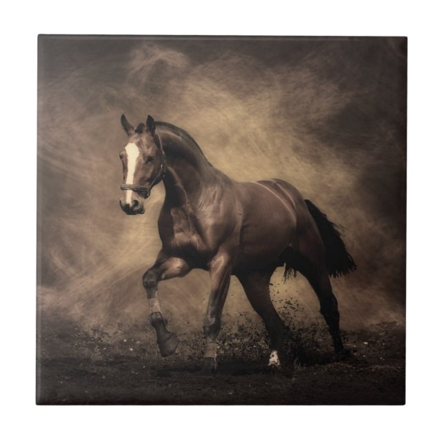 Carreau Beautiful horse throw pillow (Devant)