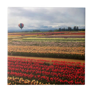 Carreau Beautiful Tulip Field avec Hot Air Balloon, Oregon