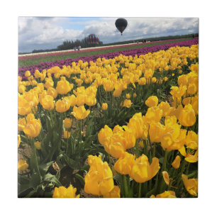 Carreau Beautiful Tulip Field avec Hot Air Balloon, Oregon