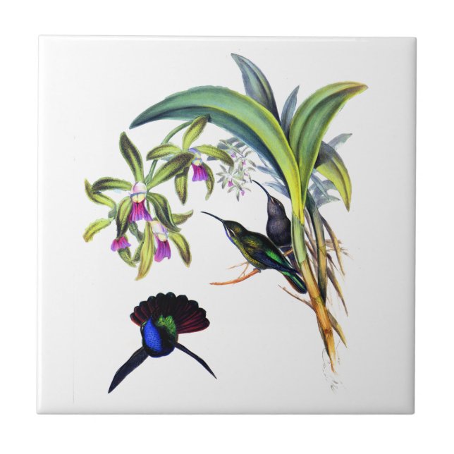 Carreau Beaux colibris et orchidées pourpres (Devant)