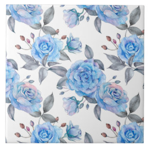 Carreau Beaux roses bleus, arrière - plan blanc,