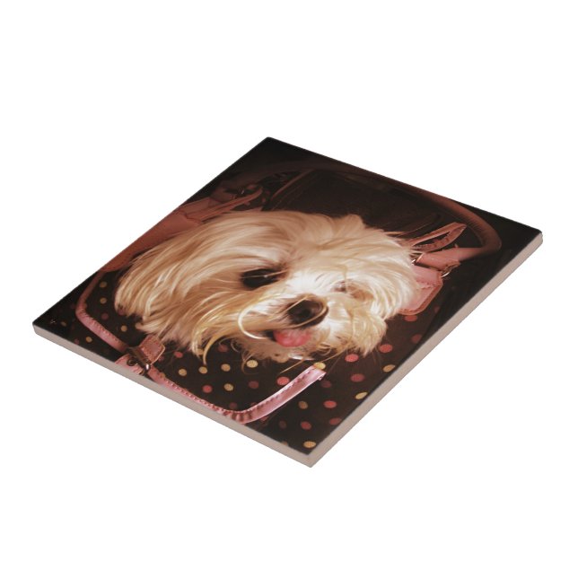 Carreau Bébé dans un sac Maltais Puppy Tile (Côté)