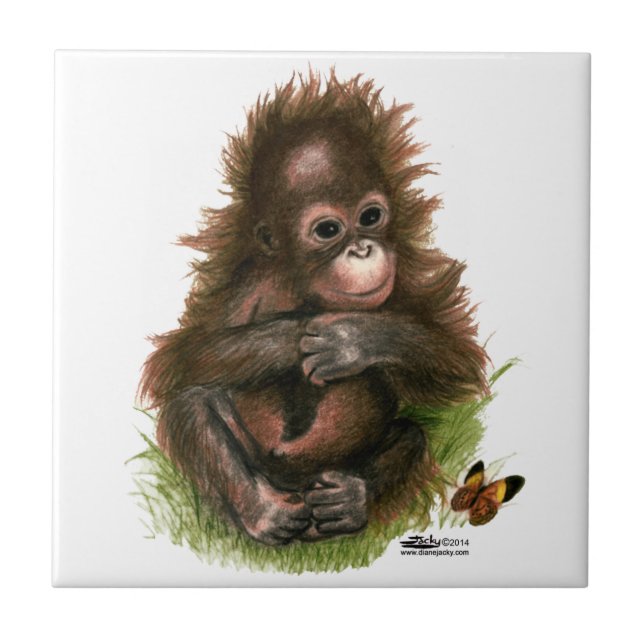 Carreau Bébé orang-outan et papillon (Devant)