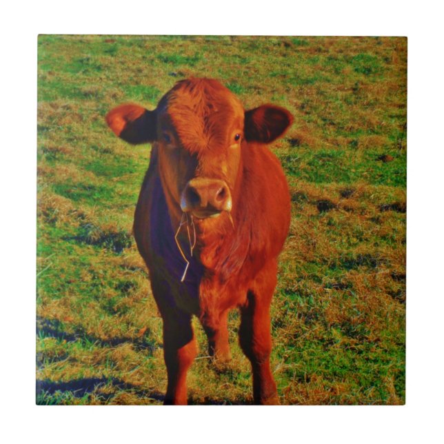 CARREAU BÉBÉ VACHE BROWN MANGER (Devant)