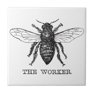 Carreau Bee Worker Honey Black Bumblebee