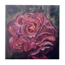 Begonia 1947 Ansel Adams Inspiré