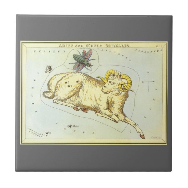 Carreau Bélier, Constellation Vintage, Miroir d'Urania (Devant)