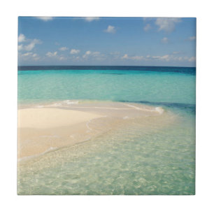 Carreau Belize, mer des Caraïbes. Goff Caye, une petite îl
