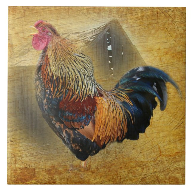 Carreau Belle coop de poulet rôti et de grange rustique (Devant)