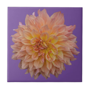 Carreau Belle dahlia orange