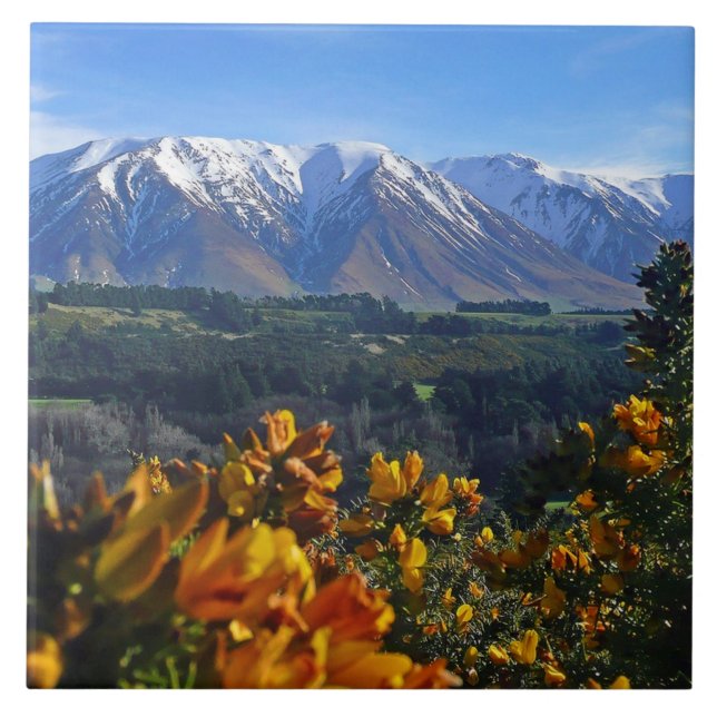 Carreau Belle Nouvelle-Zélande (Devant)