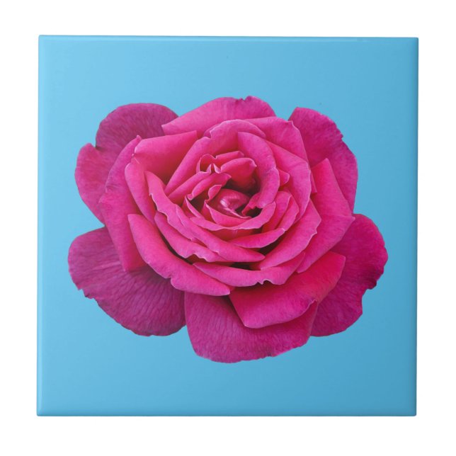 Carreau Belle rose rose (Devant)