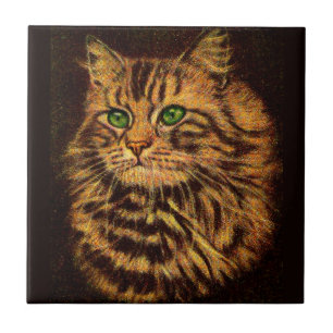 Carreau belle tabby à cheveux longs