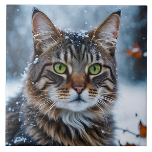 Carreau Belle Tabby Gris Chat en Neige