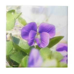 Carreau Belle violette de ressort