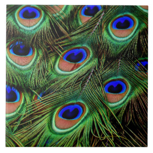 Carreau Belles plumes de paon