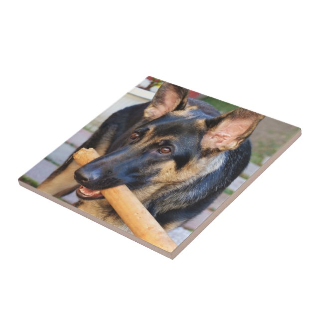 Carreau berger allemand par Shirley Taylor (Côté)