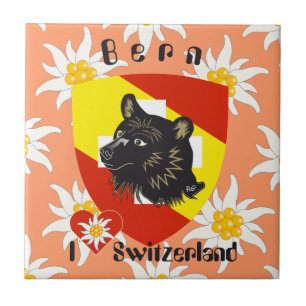 Carreau Berne Berna Suisse Fliese