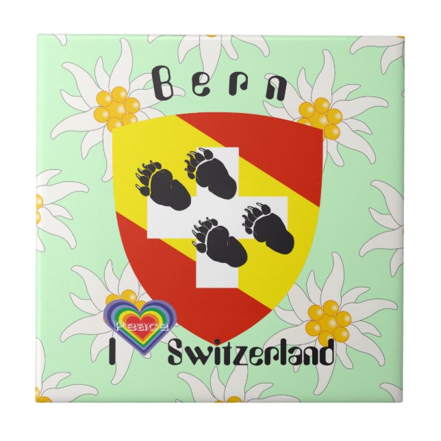 Carreau Berne Berne Berna Suisse Fliese (Devant)