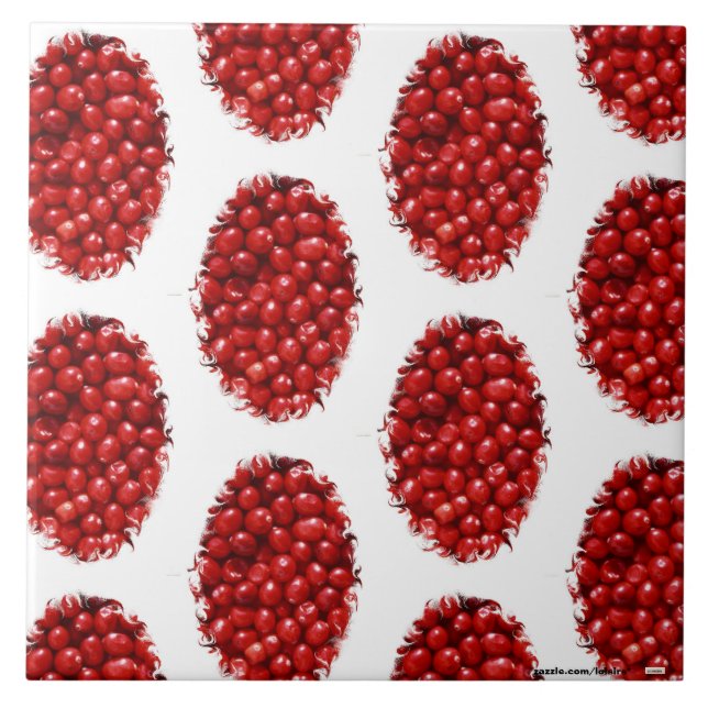 Carreau Berry (Devant)