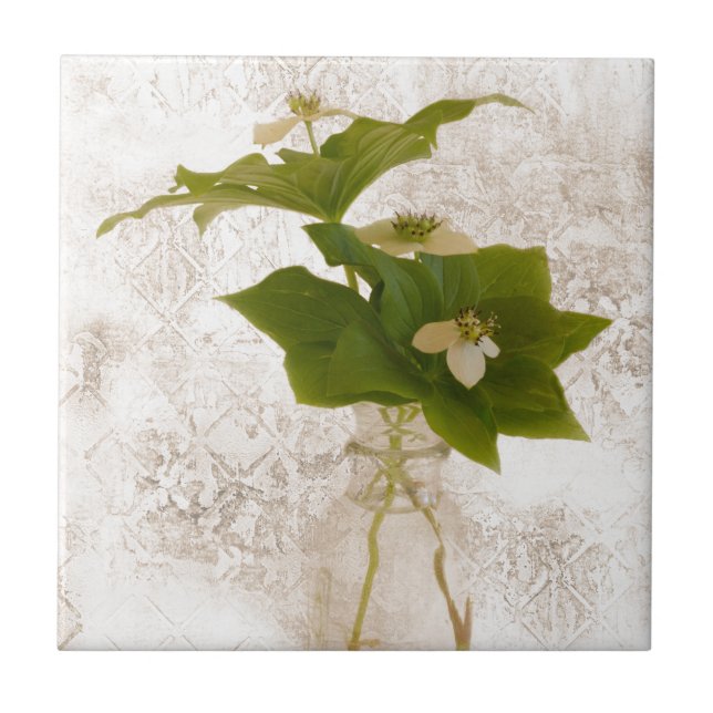 Carreau Berry Bouche de Dogwood texturé dans Jar Vie morte (Devant)