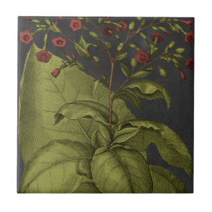 Carreau Besler Dramatique I