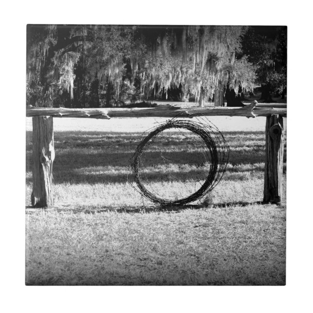 Carreau Bétail (Devant)