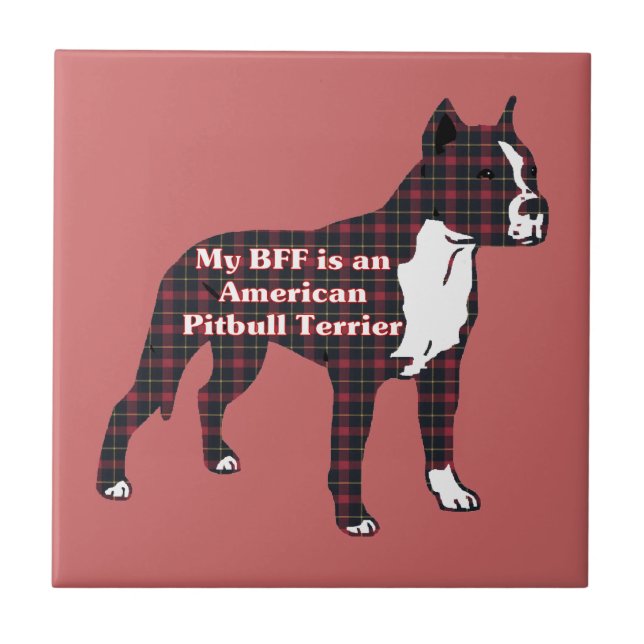 Carreau BFF American Pitbull Terrier (Devant)