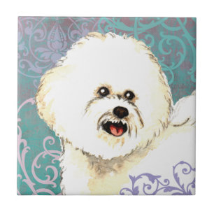 Carreau Bichon élégant Frise