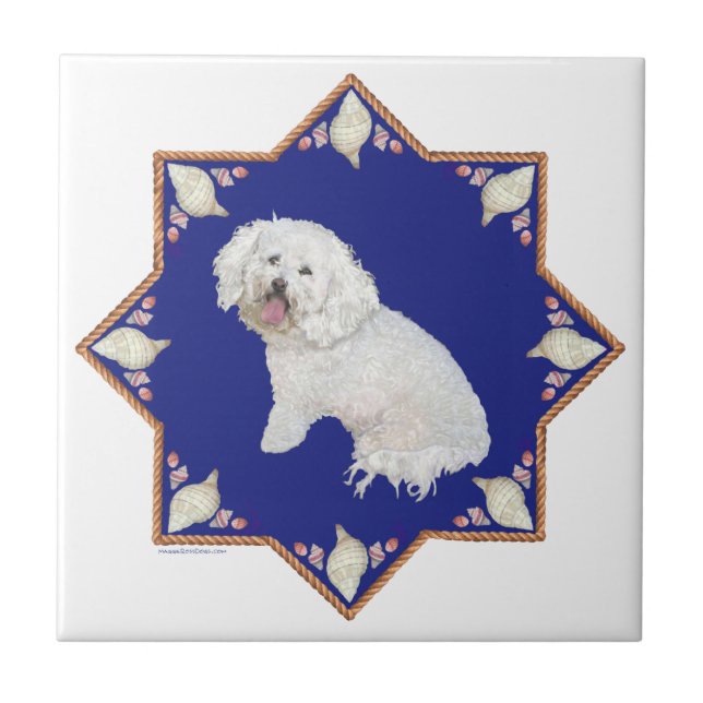Carreau Bichon frisé nautique (Devant)