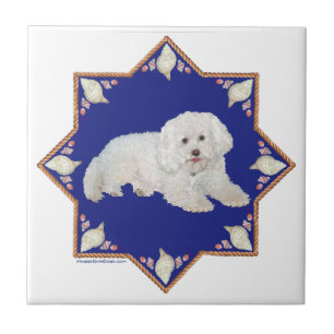 Carreau Bichon Frise Nautique