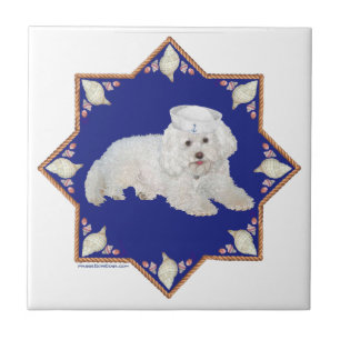 Carreau Bichon frisé nautique