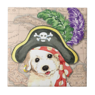 Carreau Bichon Frise Pirate