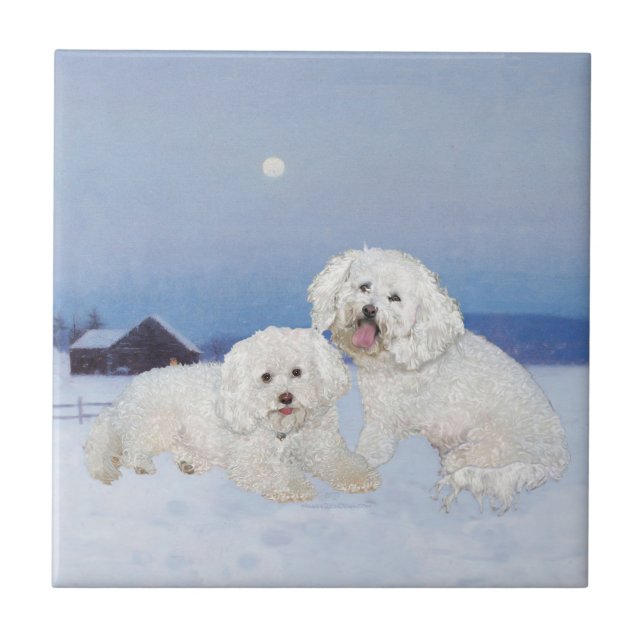 Carreau Bichon Frise Soir de Décembre (Devant)