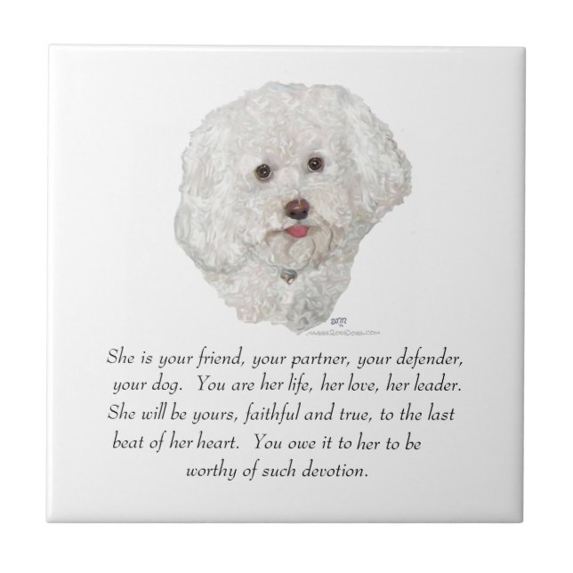 Carreau Bichon Frise Souvenir FEMELLE (Devant)