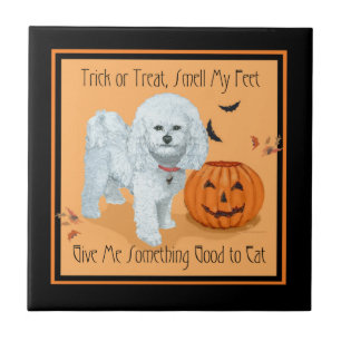Carreau Bichon Frise Trick or Treat