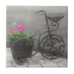 Carreau Bicyclette et fleurs antiques en noir et blanc