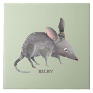 Carreau Bilby