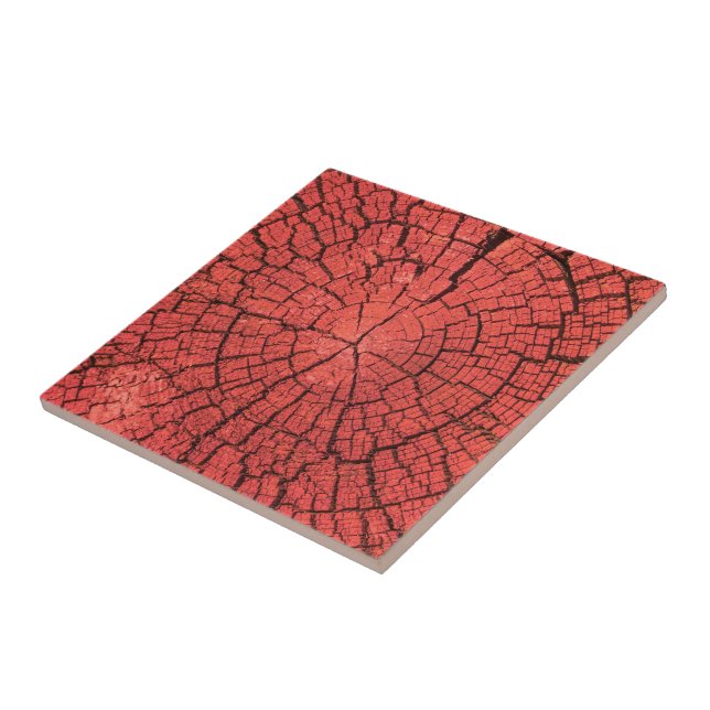 Carreau Bille de bois séchée Coupe transversale Bois rouge (Côté)