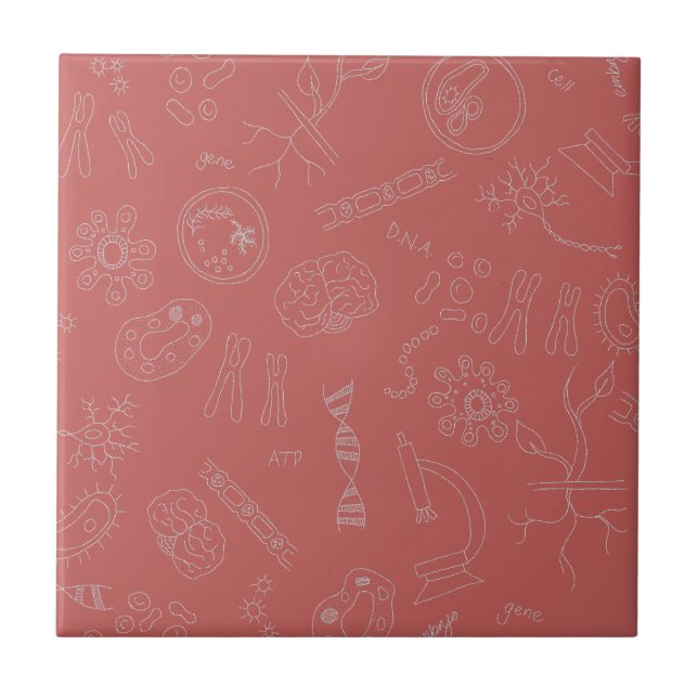 Carreau Biologie diagramme conception dusky rose (Devant)