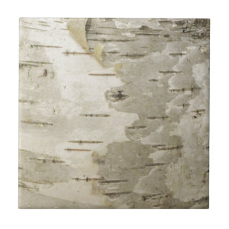 Carreau Birch