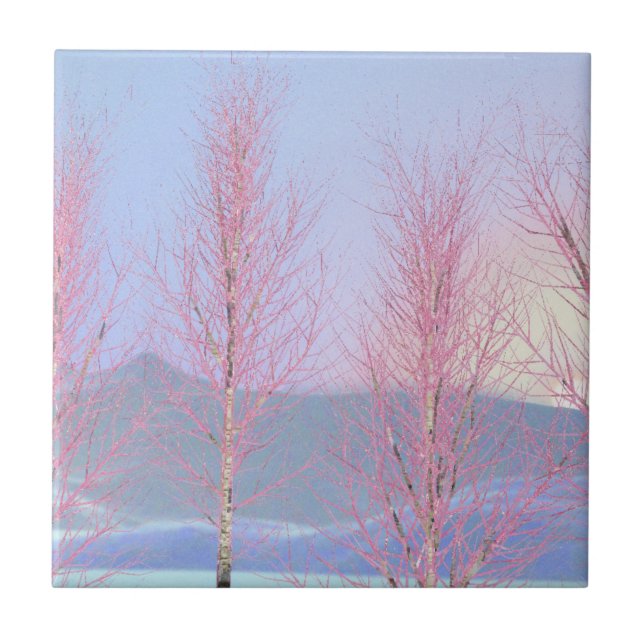 Carreau Birch à la crème de framboise (Devant)