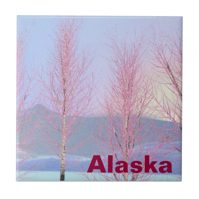 Carreau Birch à la crème de framboise (Devant)