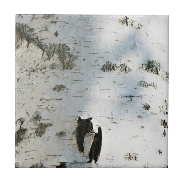 Carreau Birch bark pattern (Devant)