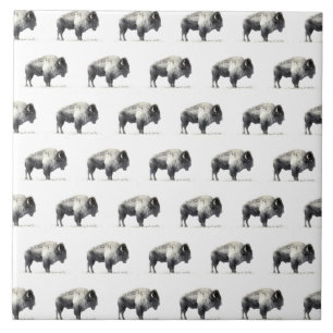 Carreau Bison d'Amérique