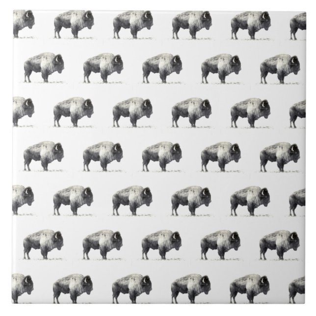 Carreau Bison d'Amérique (Devant)